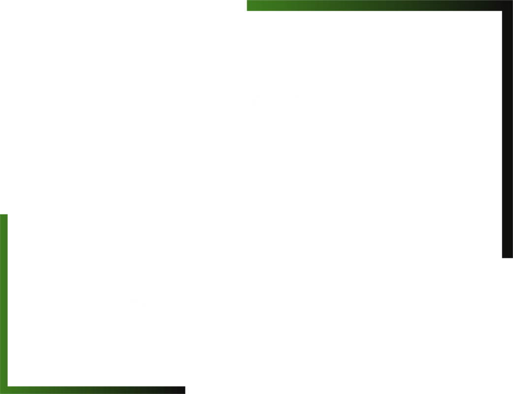 KayroSpine